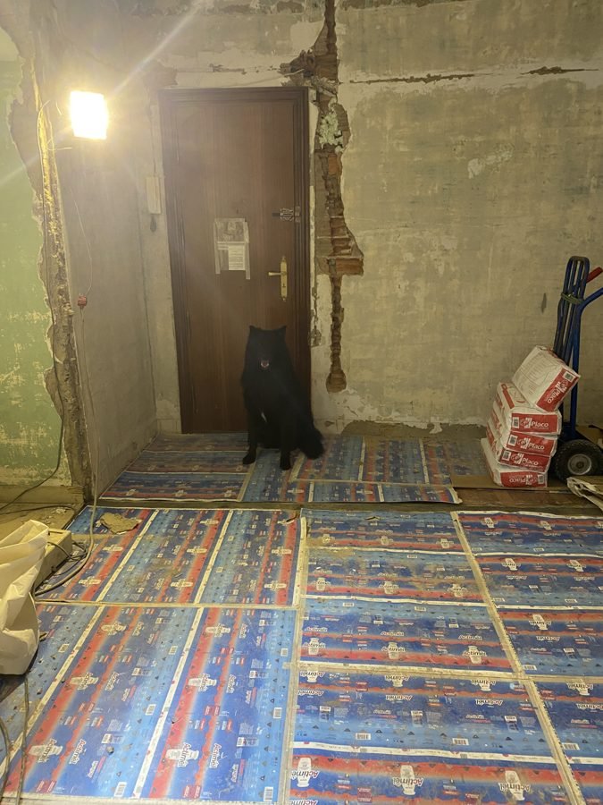Entrada de la vivienda con suelos protegidos, material acopiado y un perro sentado junto a la puerta
